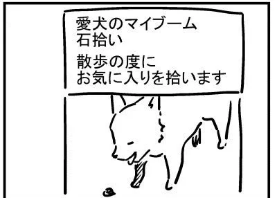 ブログ更新!「石拾い」https://t.co/Qm7Jr2h2Li 