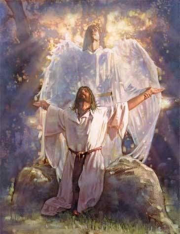 ApostleEric's tweet photo. The anointing blesses the understanding of the righteous unfolding the plan of His kingdom for the reciprocation of charity for the redemption of the purchased possession. #S8W 
Hebrews 1:14
Are they not all ministering spirits, sent forth to minister for them who shall be heirs of salvation?
Hebrews 2:2
For if the word spoken by angels was stedfast, and every transgression and disobedience received a just recompence of reward;
Ephesians 3:10
To the intent that now unto the principalities and powers in heavenly places might be known by the church the manifold wisdom of God,
https://t.co/J6ocfgOwJE
There are over 45,000 Christian denominations worldwide, which one will you build with?
👉ChurchFactChecker✔️
#thursdaymood  #ThursdayThought  #Thursday #ThursdayFeeling #thursdayvibe #Thursdays #Faith 
#FaithOverFear #FaithJourney #faiththeunholytrinity 
#FridayVibes #FridayFeeling #BibleStudy #biblestudybands #Bible #TruthSeeker  #trutheargate  #TruthWillPrevail  #truthlessage #Revival_VRC