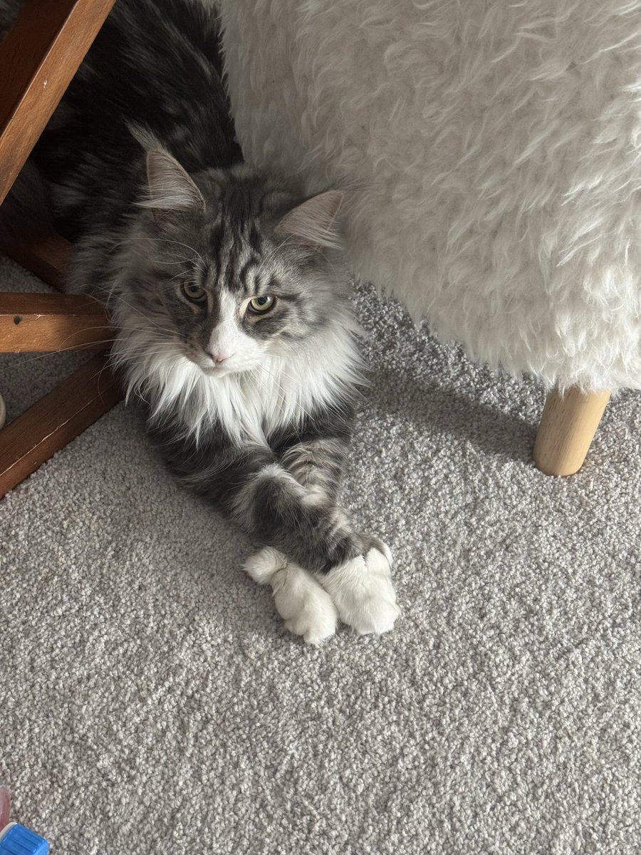 Jesse Lannister 🦁 tweet media