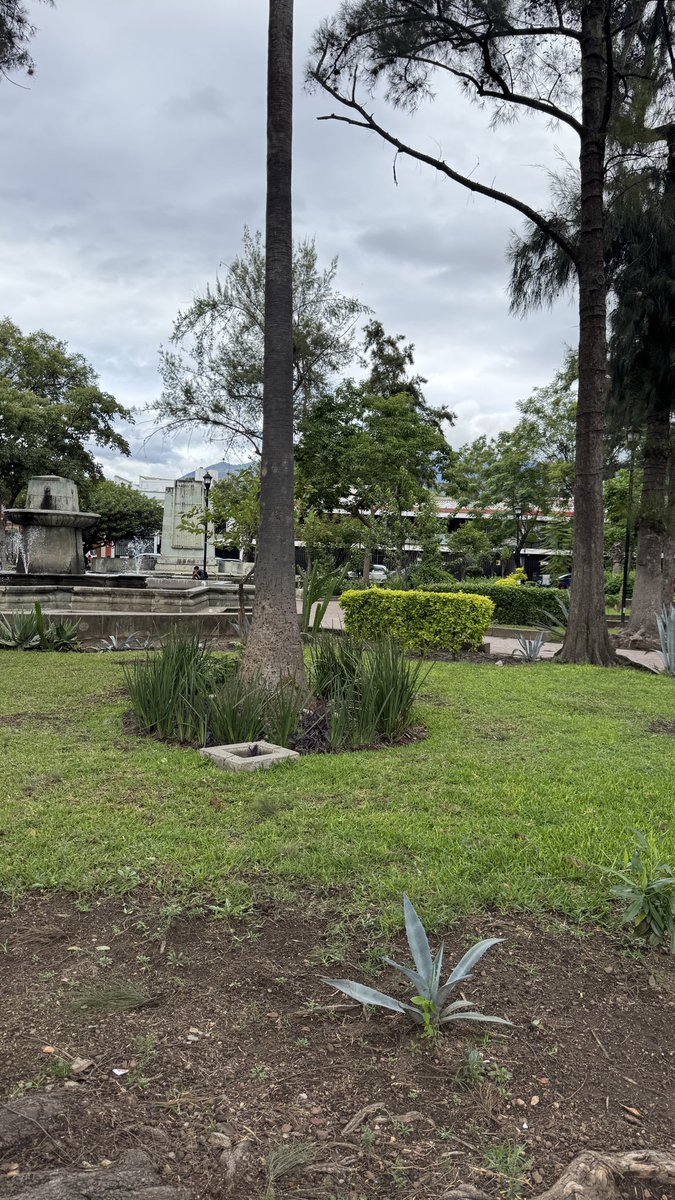 PCuckold17681's tweet photo. Ahora sí, en los negocios, Hogar, dulce Hogar. https://t.co/RhSQyvCDyB