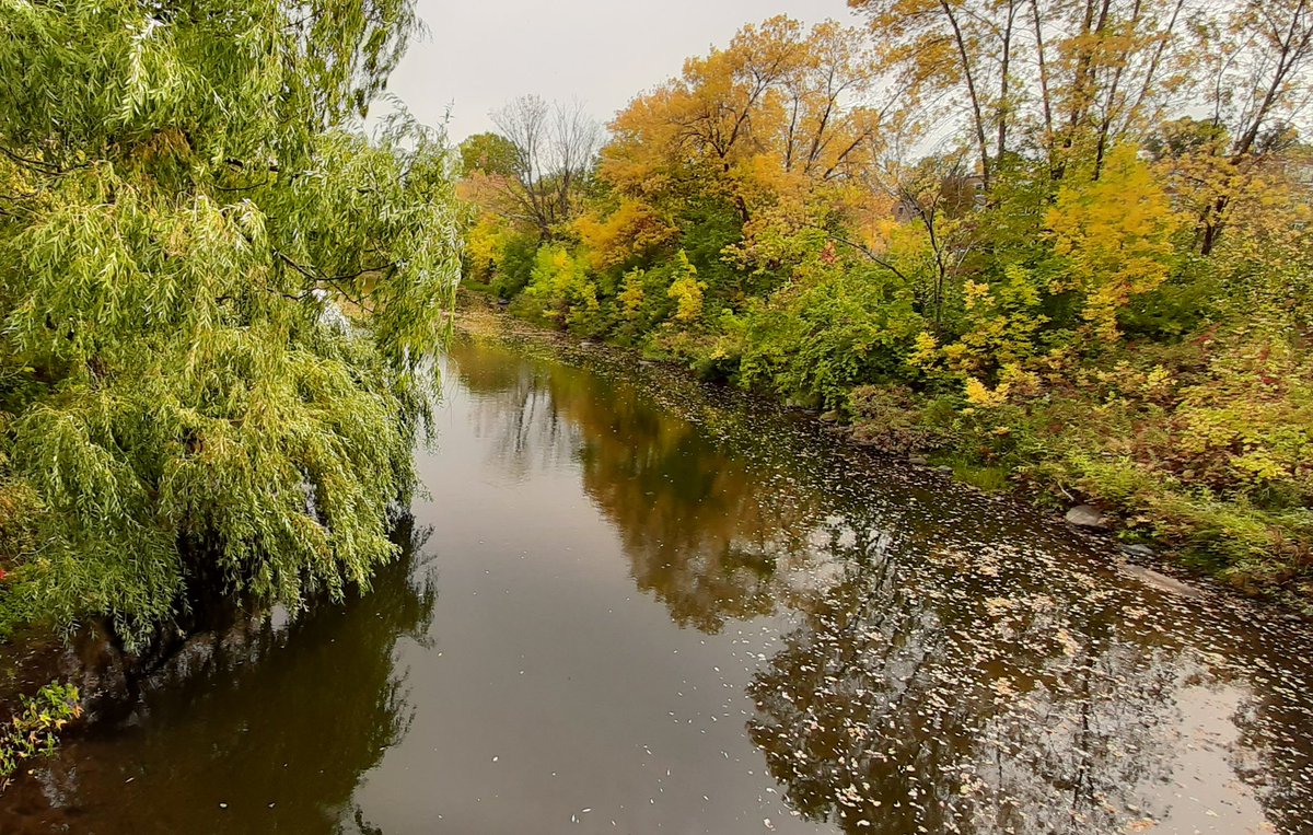 Our town covered bridge