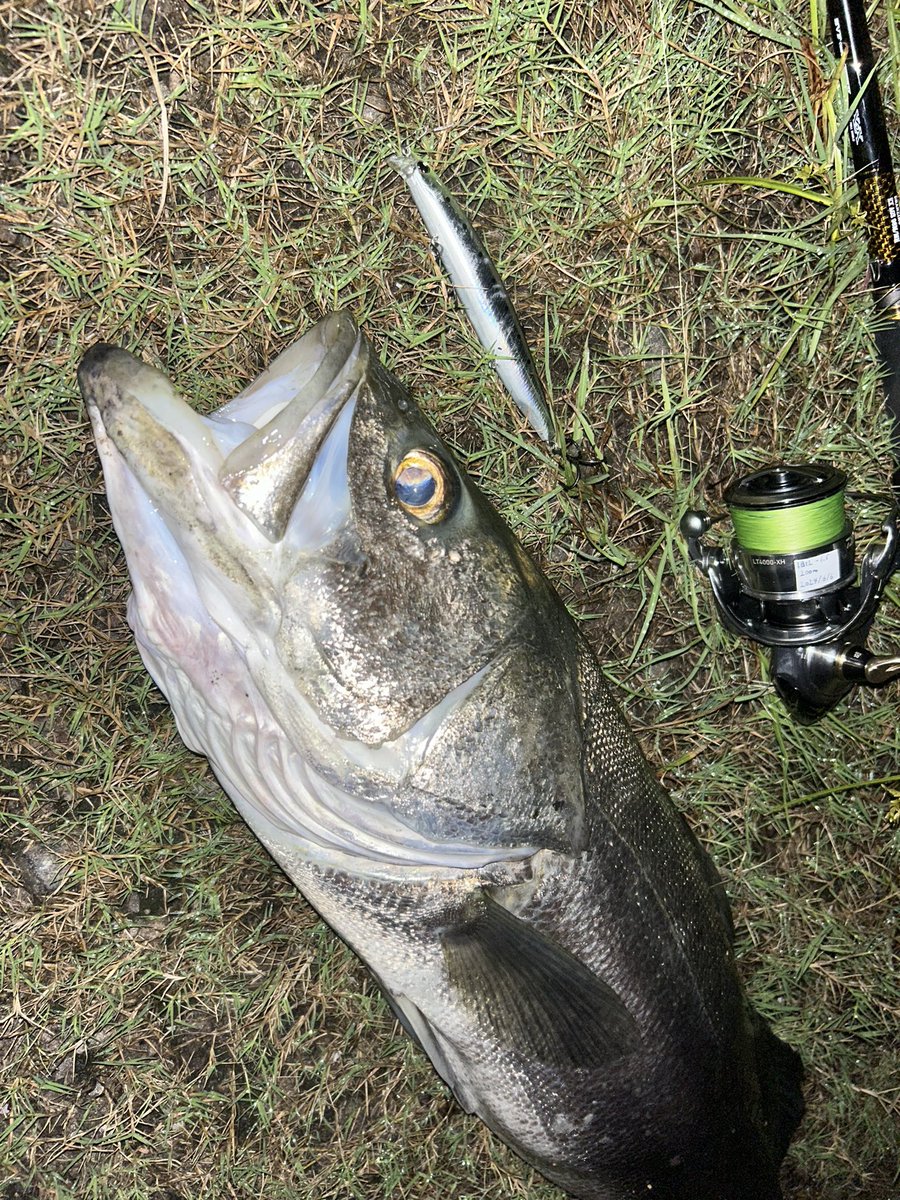 さいっっこう！！！