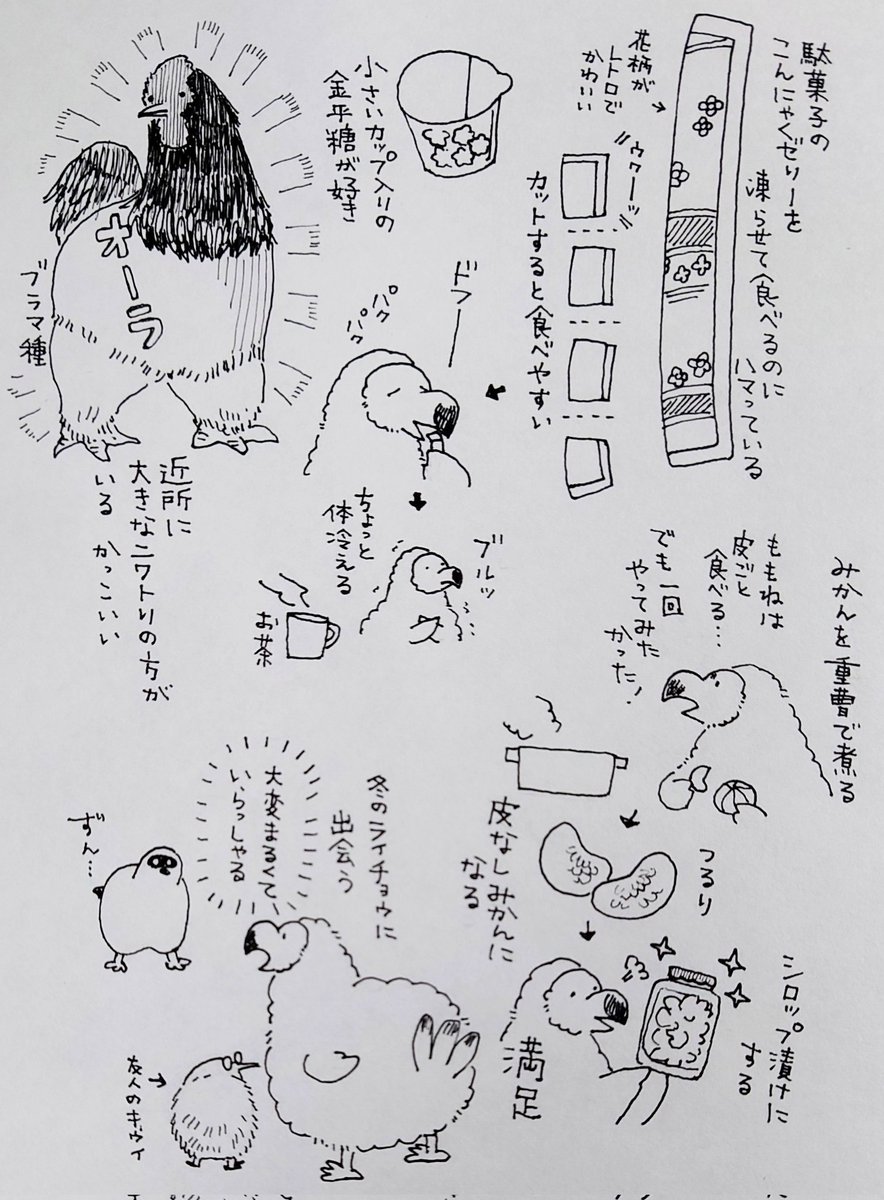 おはようございます
本日10月10日はドードー(1010)の日ですね!ハッピードードーディ!
美味しいもの食べてずんずん歩くとなんかいい感じな日です多分🦤✨ 