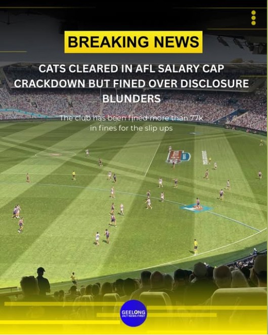 For all those Cats haters who can't read.