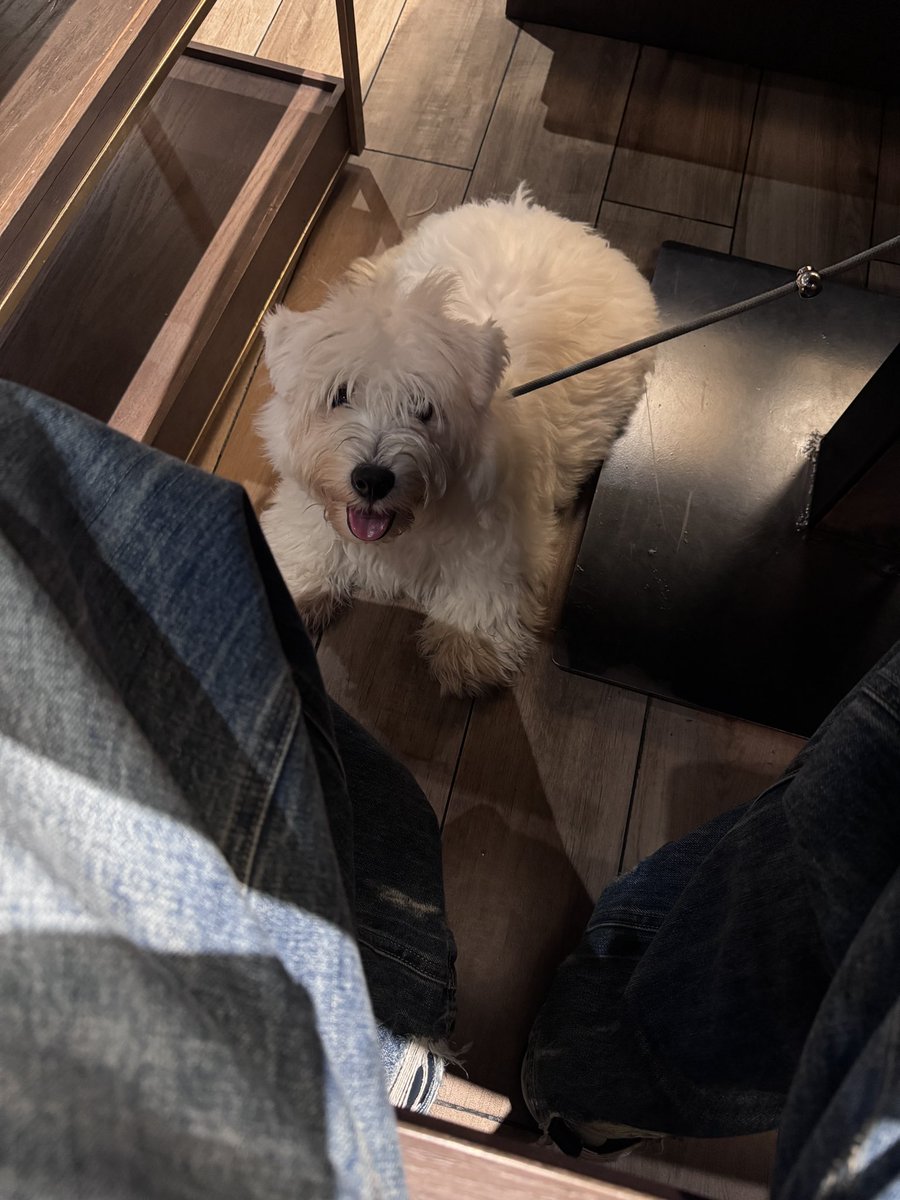 一养一个不吱声