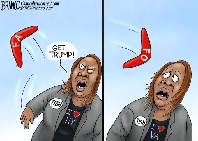 Two-panel cartoon illustration shows a woman resembling Letitia James with exaggerated features wearing a suit and name tag Tish I heart NY in the first panel throwing a red boomerang labeled FA while shouting Get with an angry expression against a blue sky background and in the second panel the same woman with name tag changed to Tish I heart VA catching a red boomerang labeled FO with wide surprised eyes and open mouth the boomerangs depicted as flying objects watermarks present reading BRANCO comicallyincorrect.com 2024.