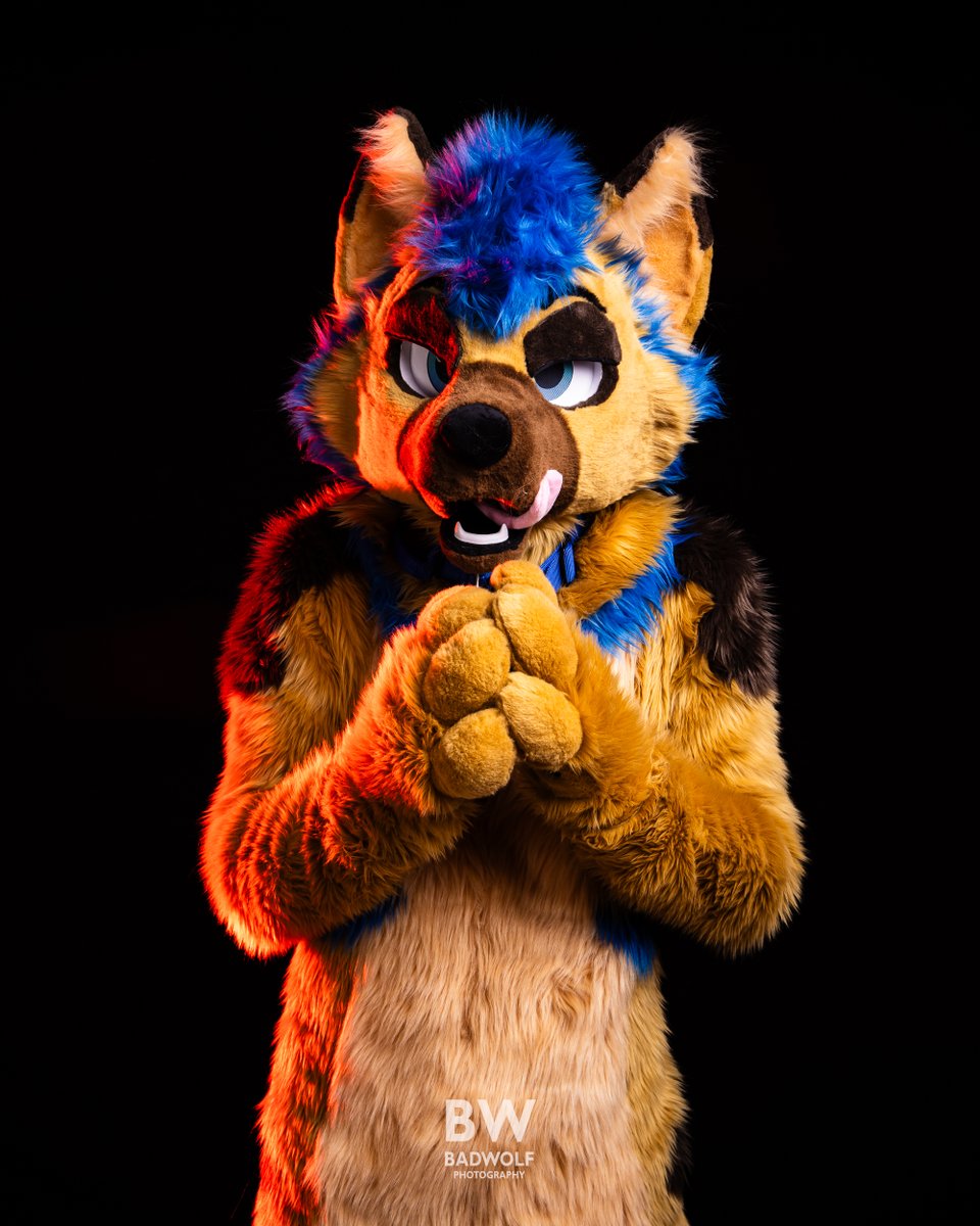 Shep Neutron tweet media