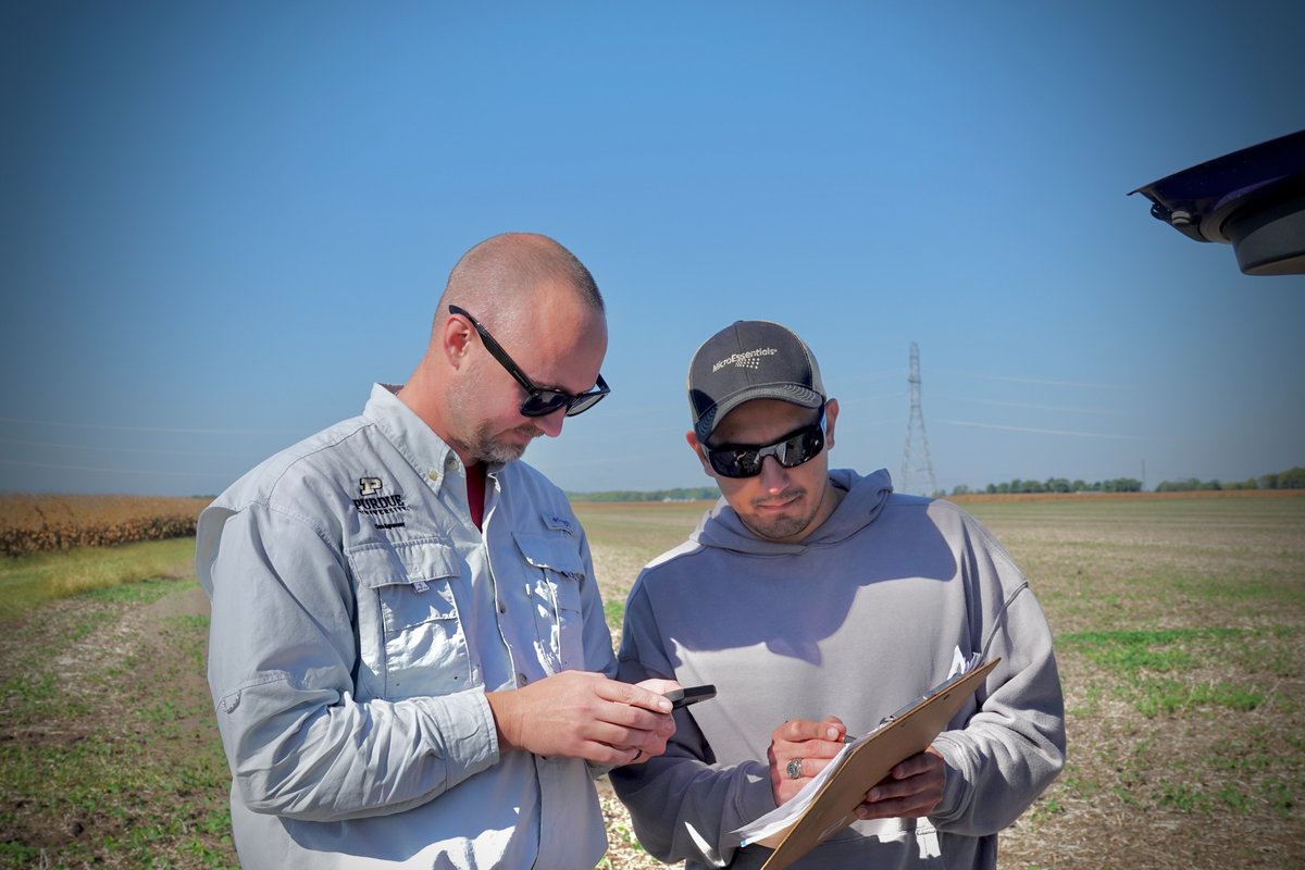 TheKernelLab's tweet image. Year 2 of aerial seeding with cover crops is underway. 🌱 As part of his Ph.D., @erickoliva95 contributes to a multi-lab project on agronomic management and crop interactions in short- and tall-stature corn hybrids. 🌽 @Bayer4CropsUS @PurdueAgryExt @PurdueAg @PurdueExtension