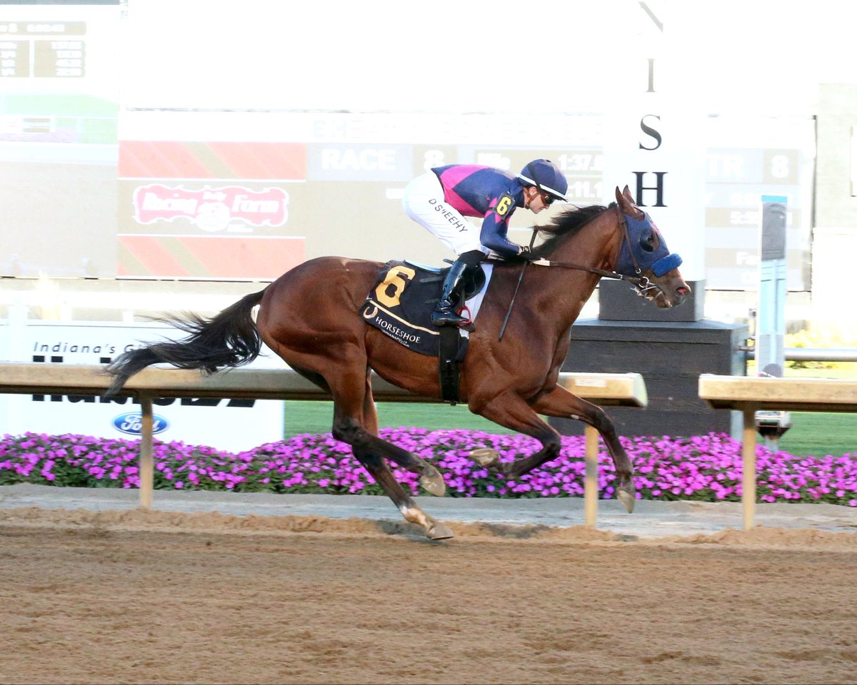 Danny Sheehy, a native of County Kilkenny, #Ireland, came to ride in the U.S. back in June. Now has six victories (🇺🇸) after making all on FOUNTAIN RUN ($52.80) <a href="/HSIndyRacing/">Horseshoe Indianapolis Race Course</a> for <a href="/AnnaMeahRacing/">Anna Meah Racing</a> on Thursday’s card. He’s also ridden since coming over <a href="/EllisParkRacing/">Ellis Park Racing & Gaming</a>,