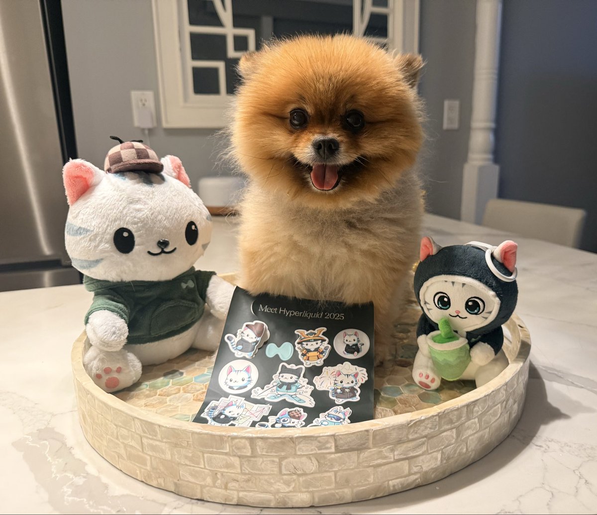 Which one is the cutest? @Hyperintern <a href="/HyperliquidX/">Hyperliquid</a>