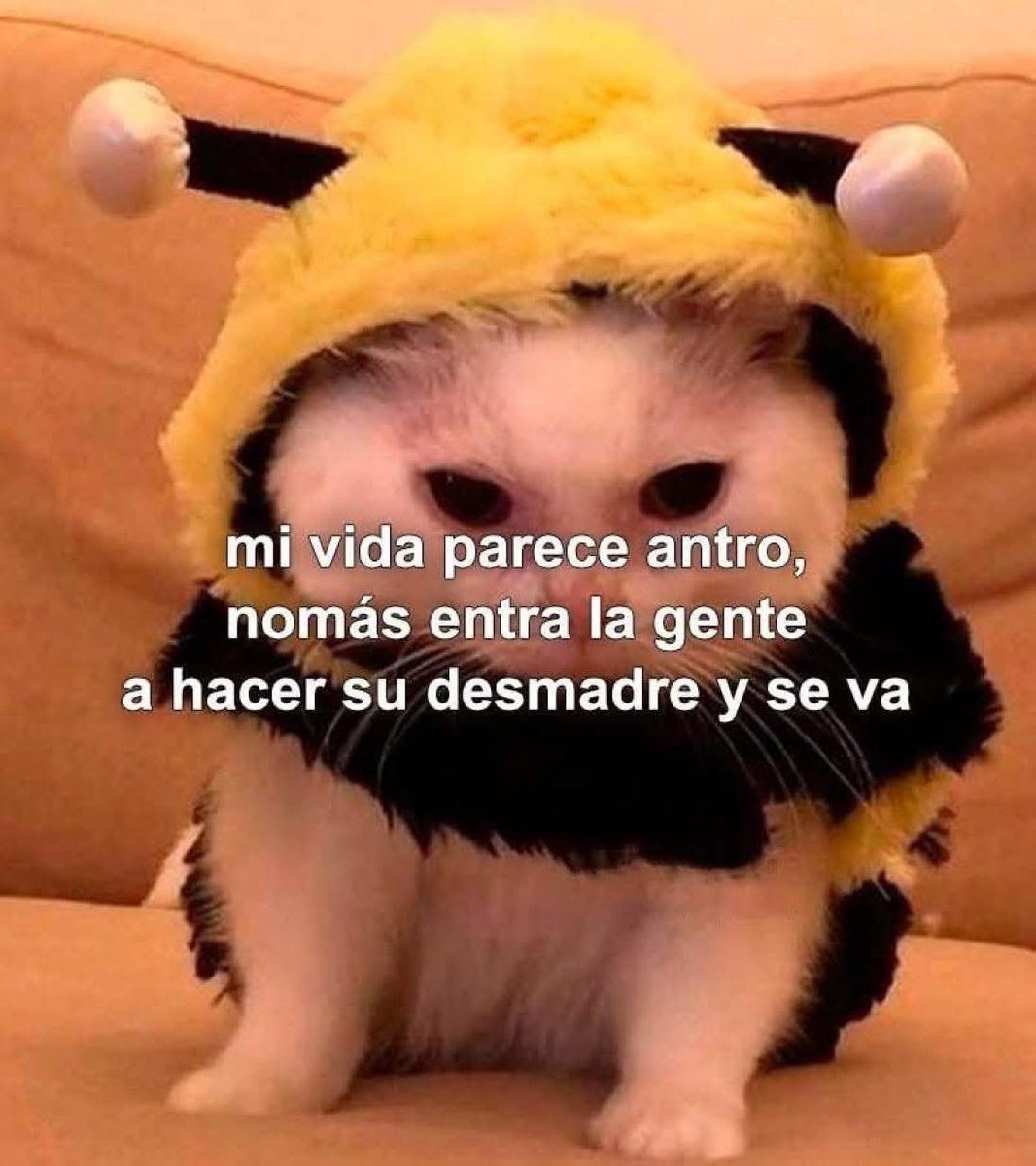 WikiCiudadano 🃏 (@wikiciudadano) on Twitter photo 