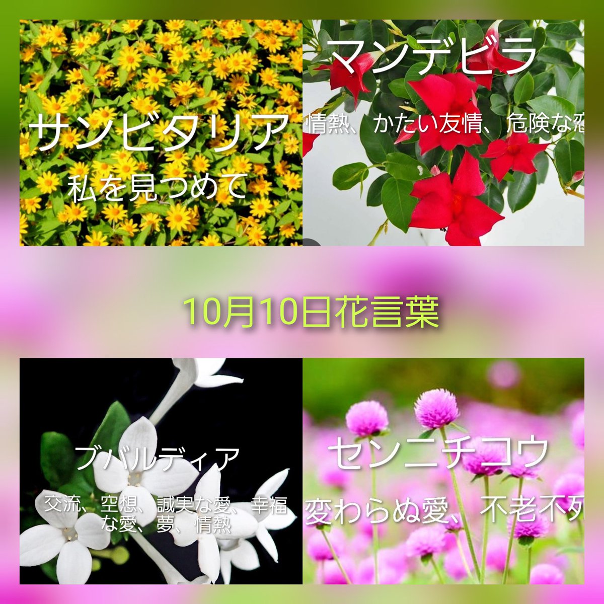 🎂ようこ 🎉 on X