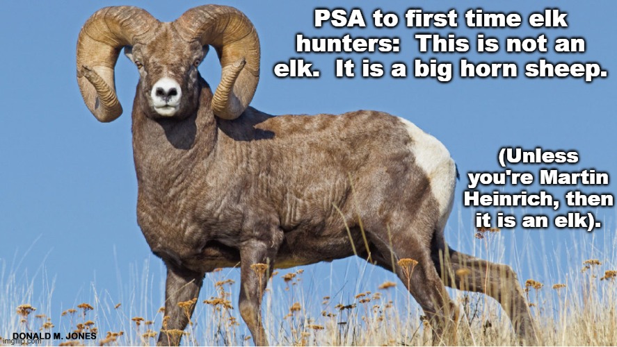 ApocalipsFarley's tweet image. 🐑🐏