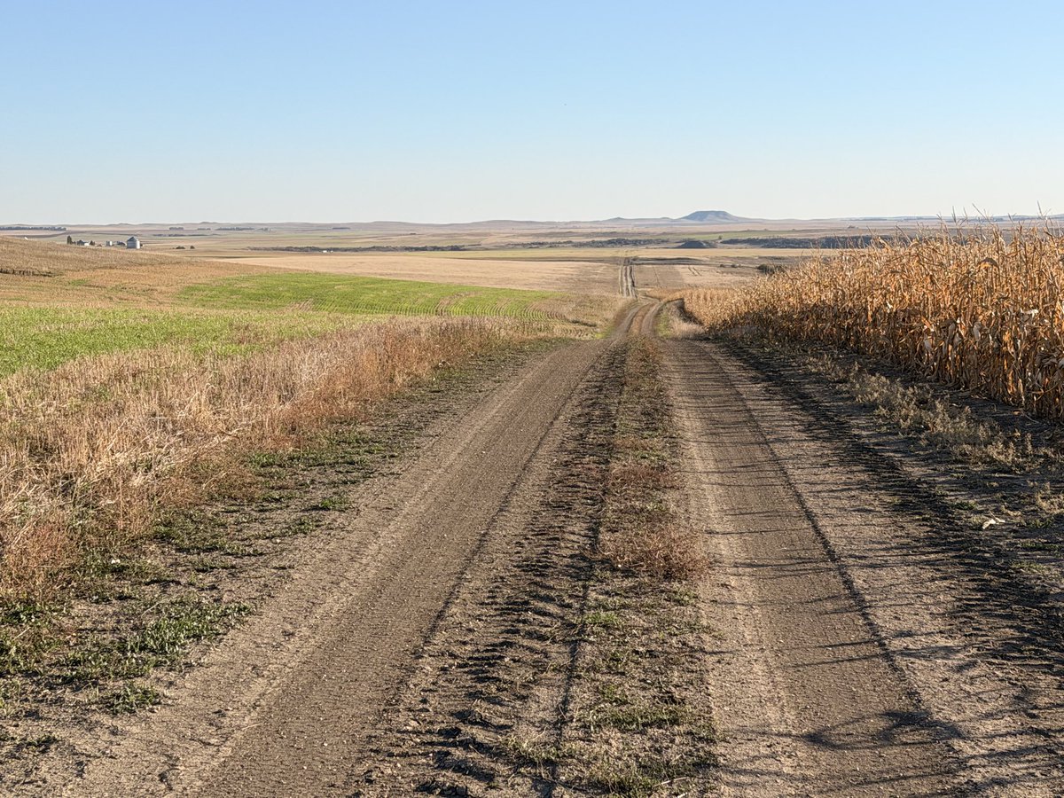 Blake Rafferty tweet media