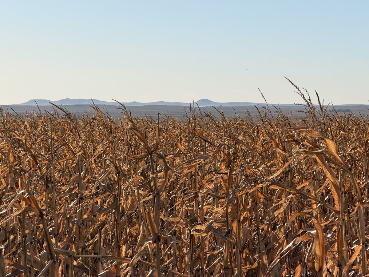 Blake Rafferty tweet media