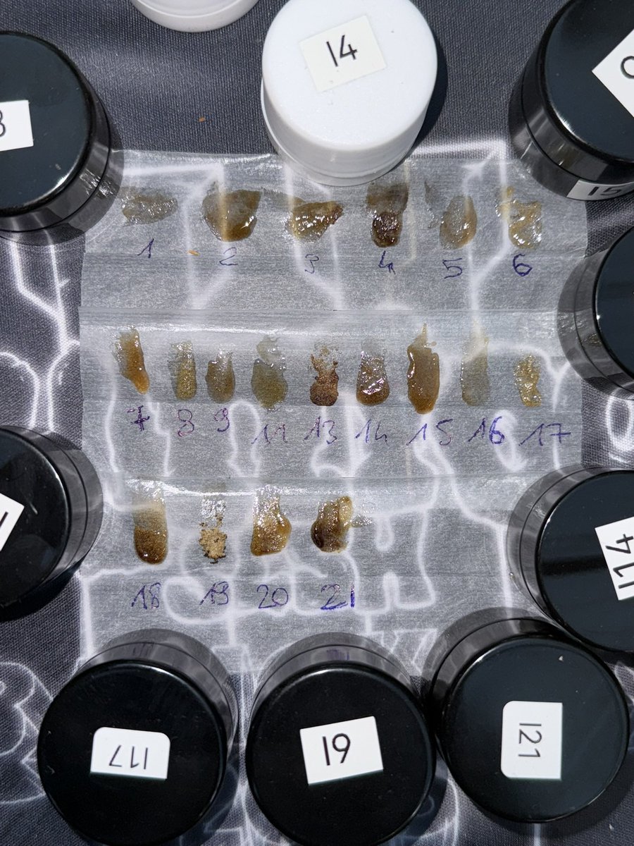 #MARCARSEUNJAHKIREVI expresión de Javi de <a href="/Medicalseeds_/">medical SeedS</a> por definir este método de juzgar de <a href="/JAHKIREVI/">Alessandro Mondini</a> la diferencia de “Melt” de una serie de Dry o WaterHash en una competición cannabica de alto nivel