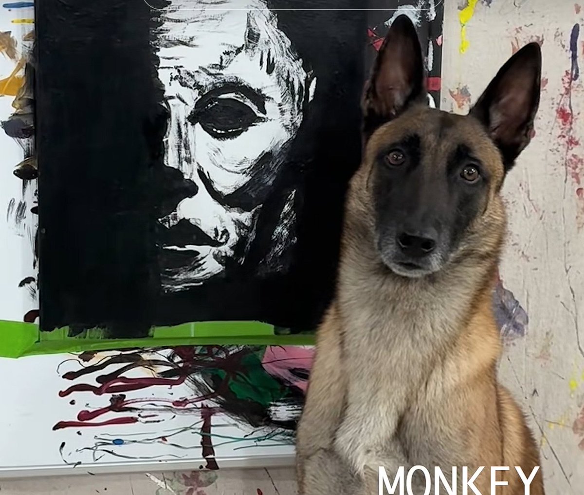 aizen_786_'s tweet photo. The smartest dog
$Monkey #MonkeyRaider https://t.co/74RcQBBNxR