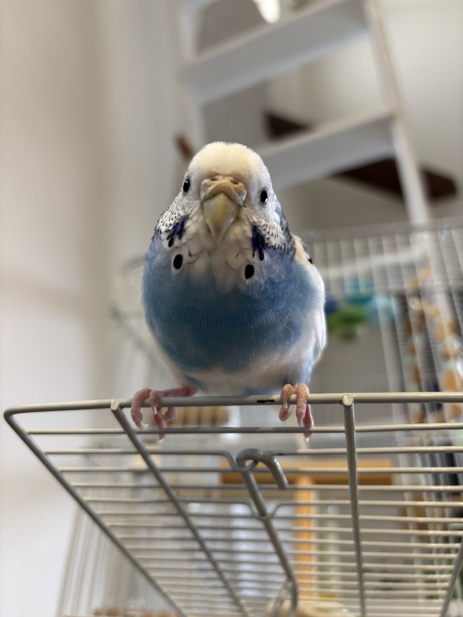 Tweet media one