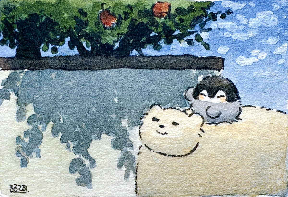 k_r_r_l_l_'s tweet image. ザクロの実が赤くなっているのを教えてくれる