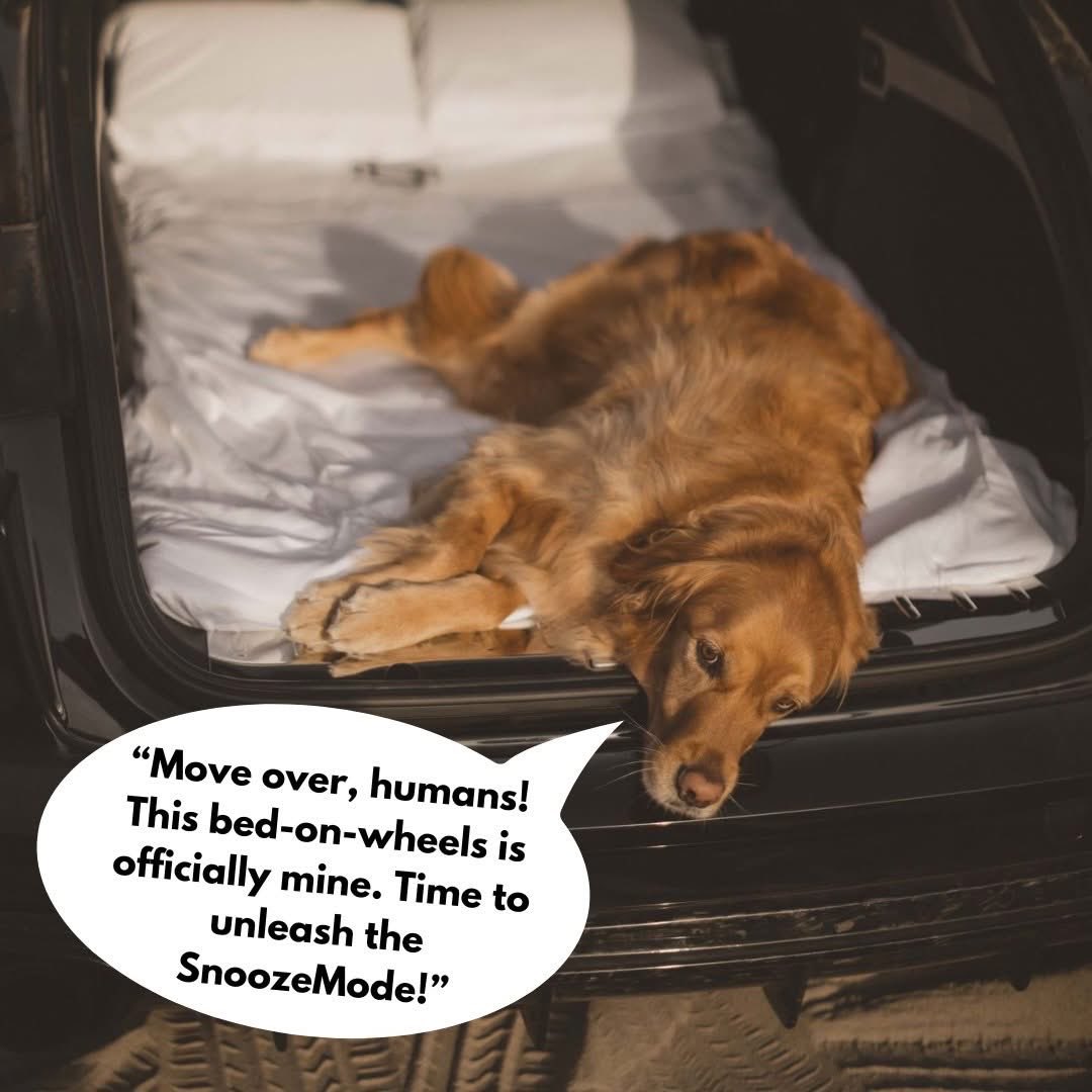 🐕 introducing SnoozeMode!