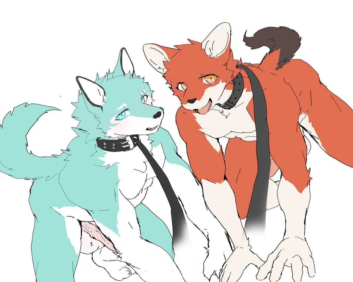 要和新伙伴好好相处哦