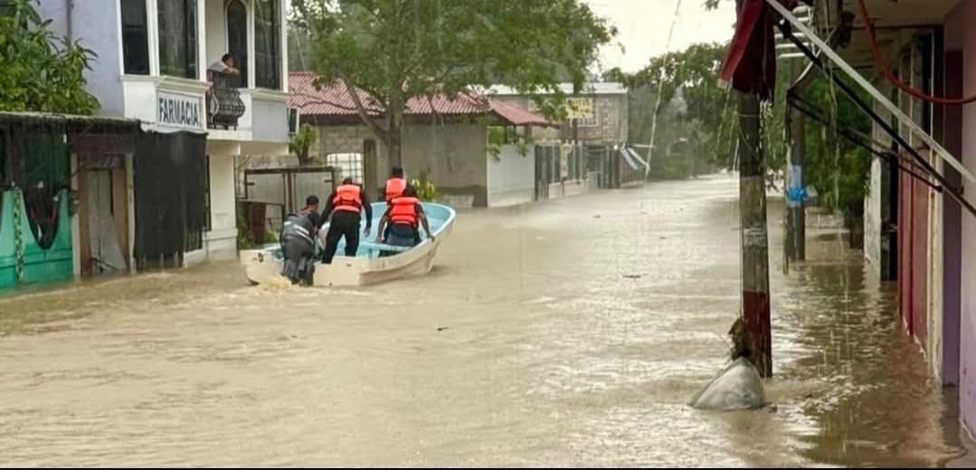 MasNoticiasRTV's tweet image. Estamos coordinados atendiendo a nuestra gente: Gobernadora #supervisa #afectaciones por #lluvias

✍️ Más Información👇 
masnoticias.mx/estamos-coordi…
