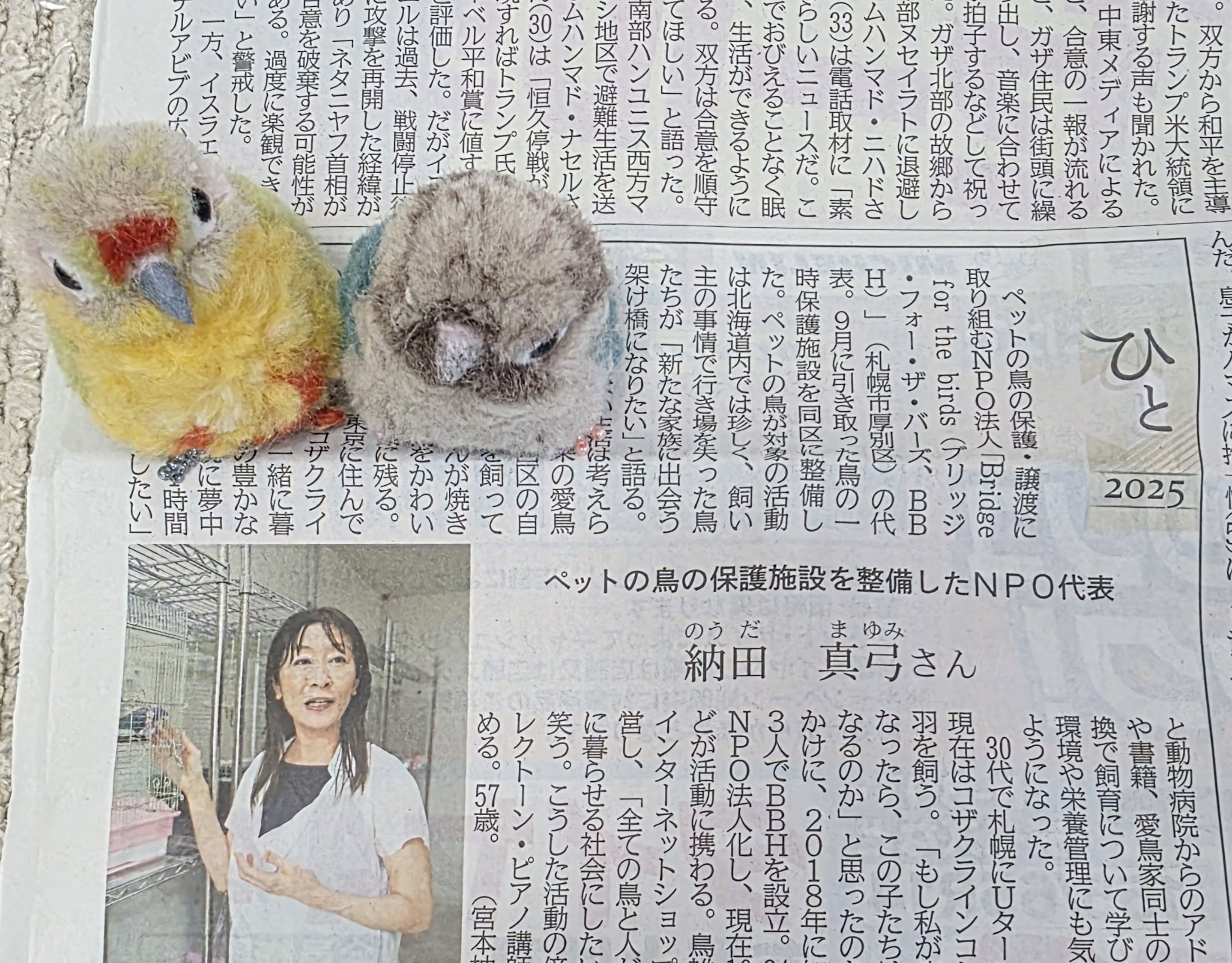オーダー受付　わんことインコ　ご予約ページ　9/29 オーダー受付 わんことインコ ご予約ページ 9/29 7ORDER・真田佑馬＆萩谷慧