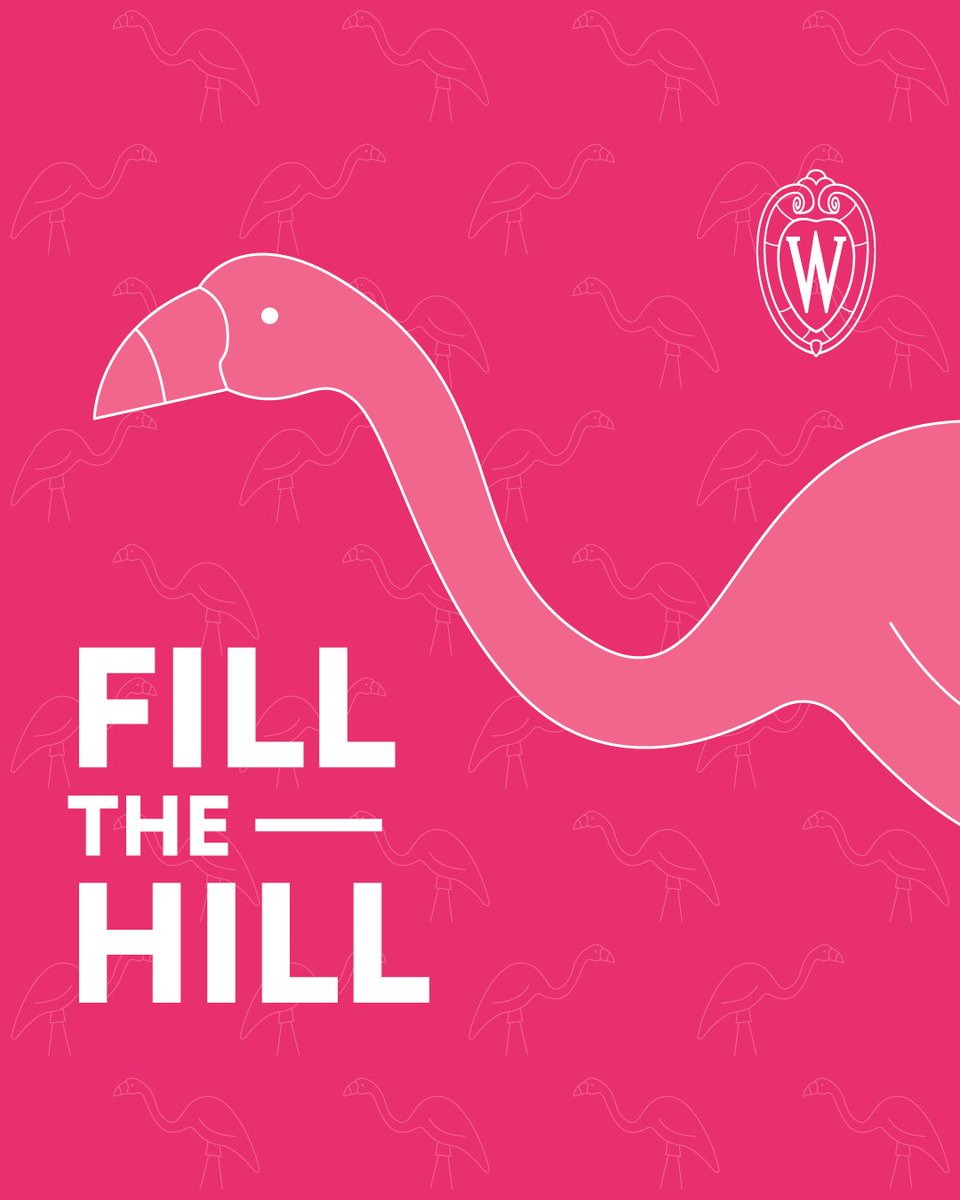 UW School of Computer, Data & Information Sciences tweet media