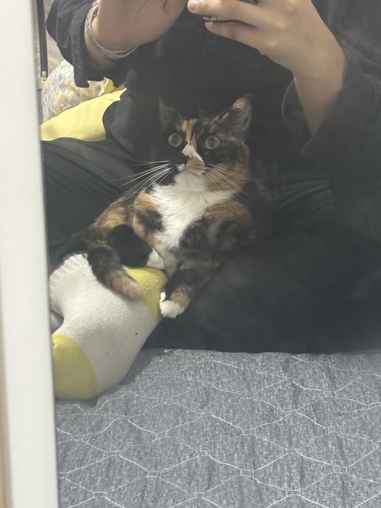 약간 사람 바이브