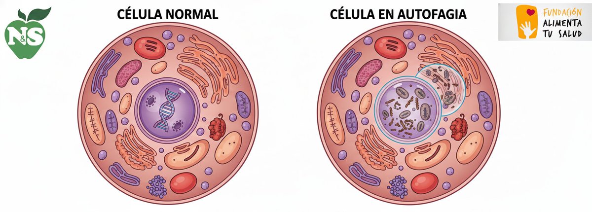 Ramón De Cangas Morán. (@ramondecangas) on Twitter photo 