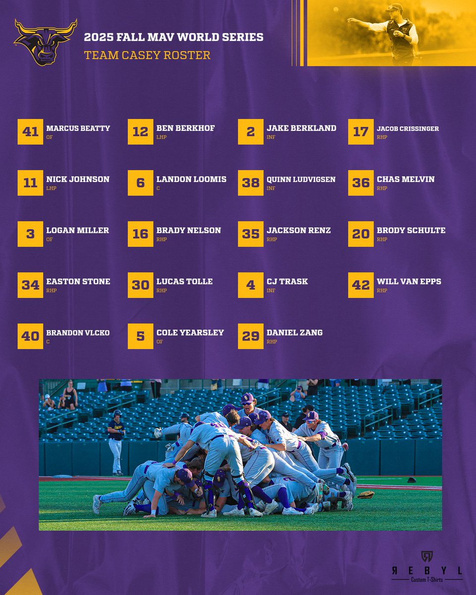 Minn State Baseball tweet media