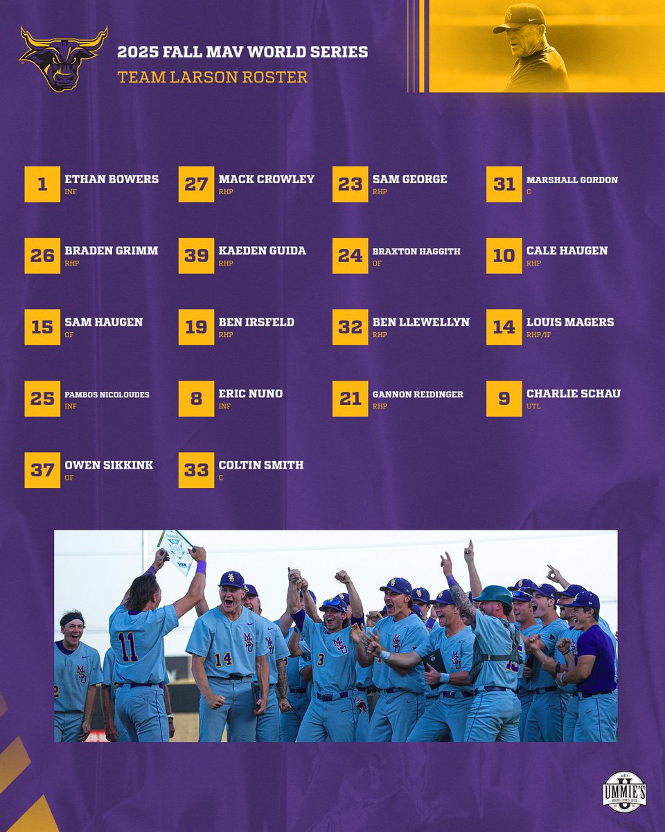 Minn State Baseball tweet media