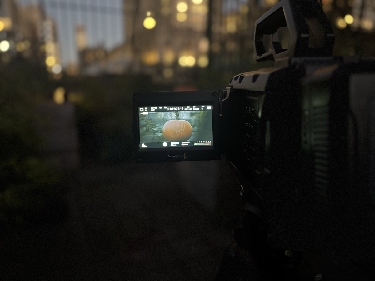 ColdWinterFilms's tweet image. 🎃 #filmmaking #cinematography #halloween