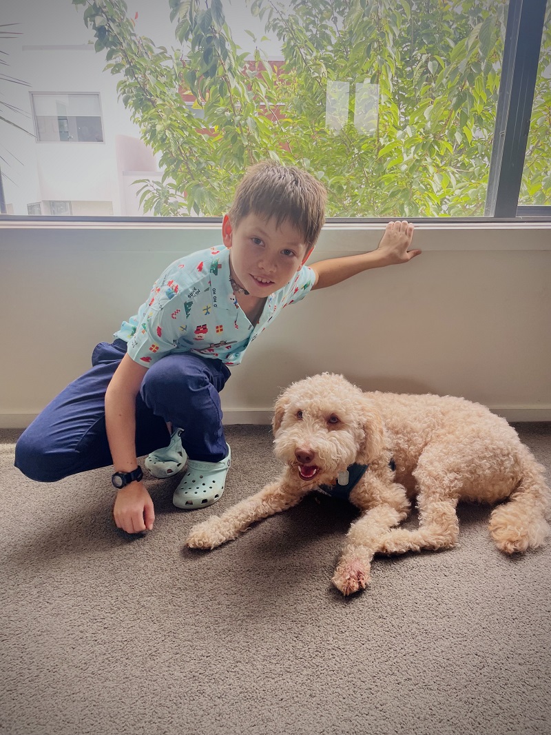 BurnabyRCMP's tweet image. The Burnaby RCMP is renewing its plea for information and is sharing additional photos and a family statement as part of the ongoing investigation to locate missing 11-year-old Kai Pavlovic. See our full news release: bit.ly/47h3MxL