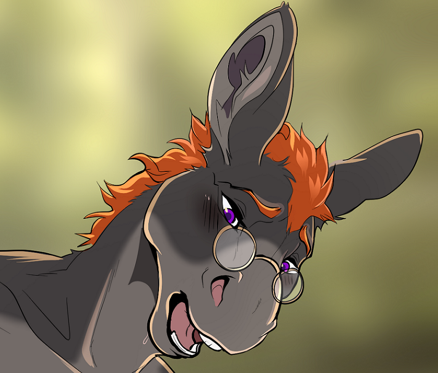 FozzyFox81's tweet photo. @Whiskey_Dingo Rate my Donkey Boi!! https://t.co/oZRhvif476