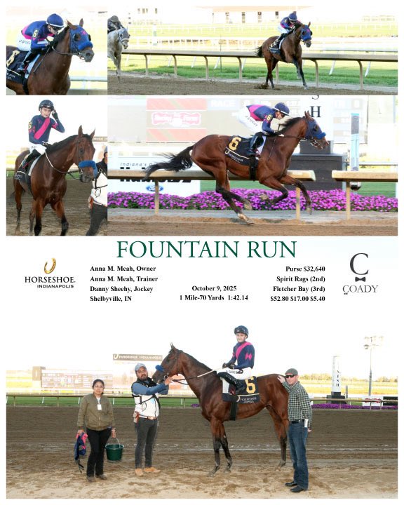 Anna Meah Racing tweet media