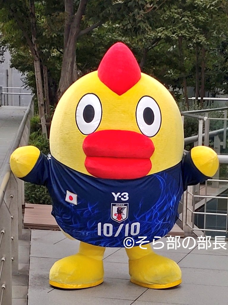 💛そら部の部長❤️ on X: 