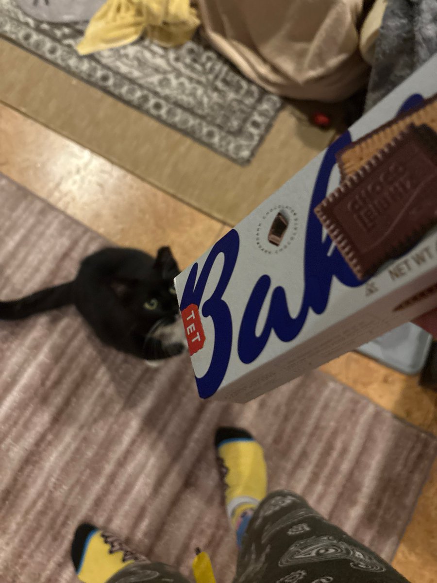 Weekly cat posting as usual. Enjoy