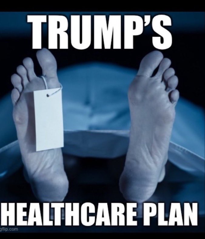 💫 Lynn tweet media