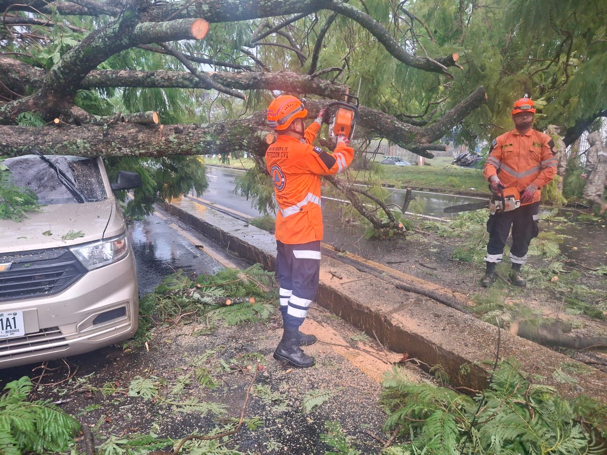 ⚠️ Nuestro #EquipoTácticoOperativo realizó la remoción de árbol caído sobre un vehículo en el 📍bulevar Los 44, departamento de Santa Ana.

#PlanInvierno2025