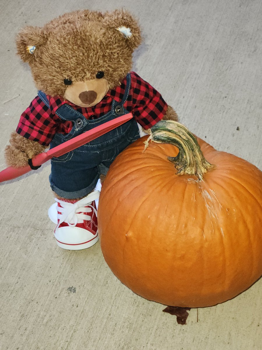 Teddy Bear Lucas is ready to carve a pumpkin. He says the overalls and knife make him look like Chucky. #teddybearlucas