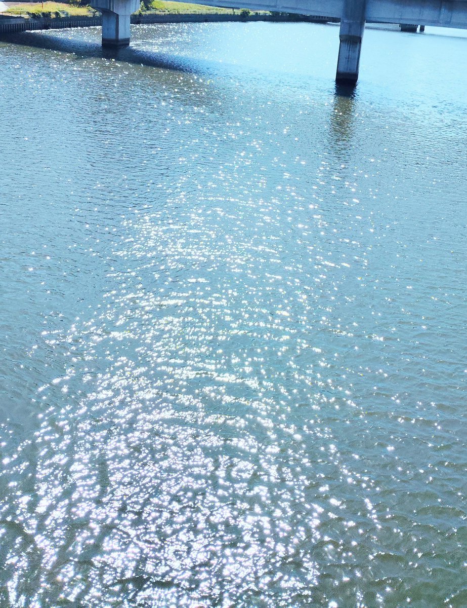 太陽の日差しに
照らされて
キラキラと輝く水面
とっても綺麗
あなたにもたとえ
小さくてもいい
癒やしがたくさん
ありますように
今日も元気でいてね

#あの子たち
#届けこの想い