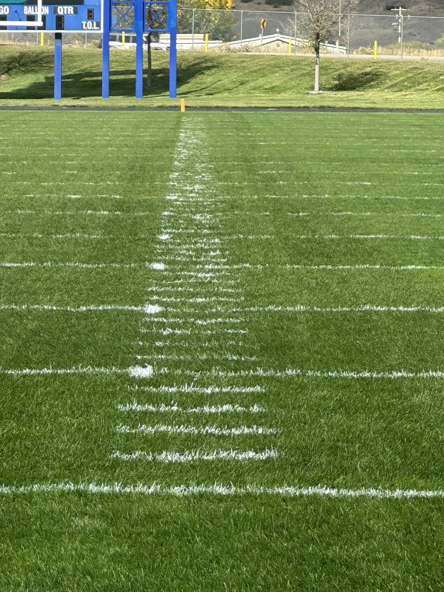 Sun Roesslein, CSFM tweet media