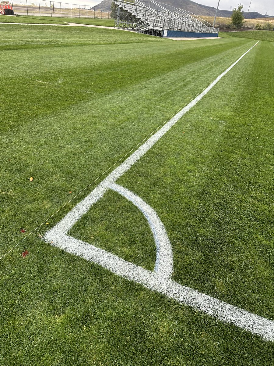 Sun Roesslein, CSFM tweet media