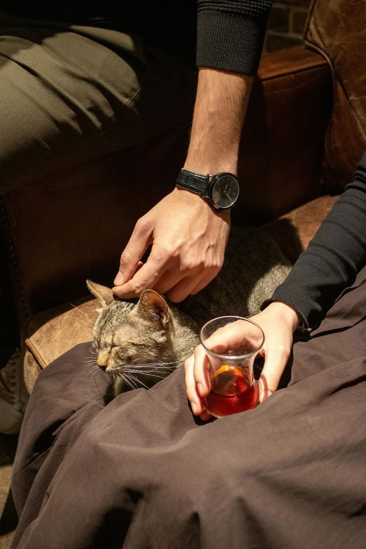 Genç Şair tweet media