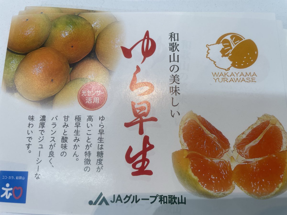 みかん様　オーダーページ WAGYU JBパターンオーダーグラブ/004Sモデル – ボールパーク