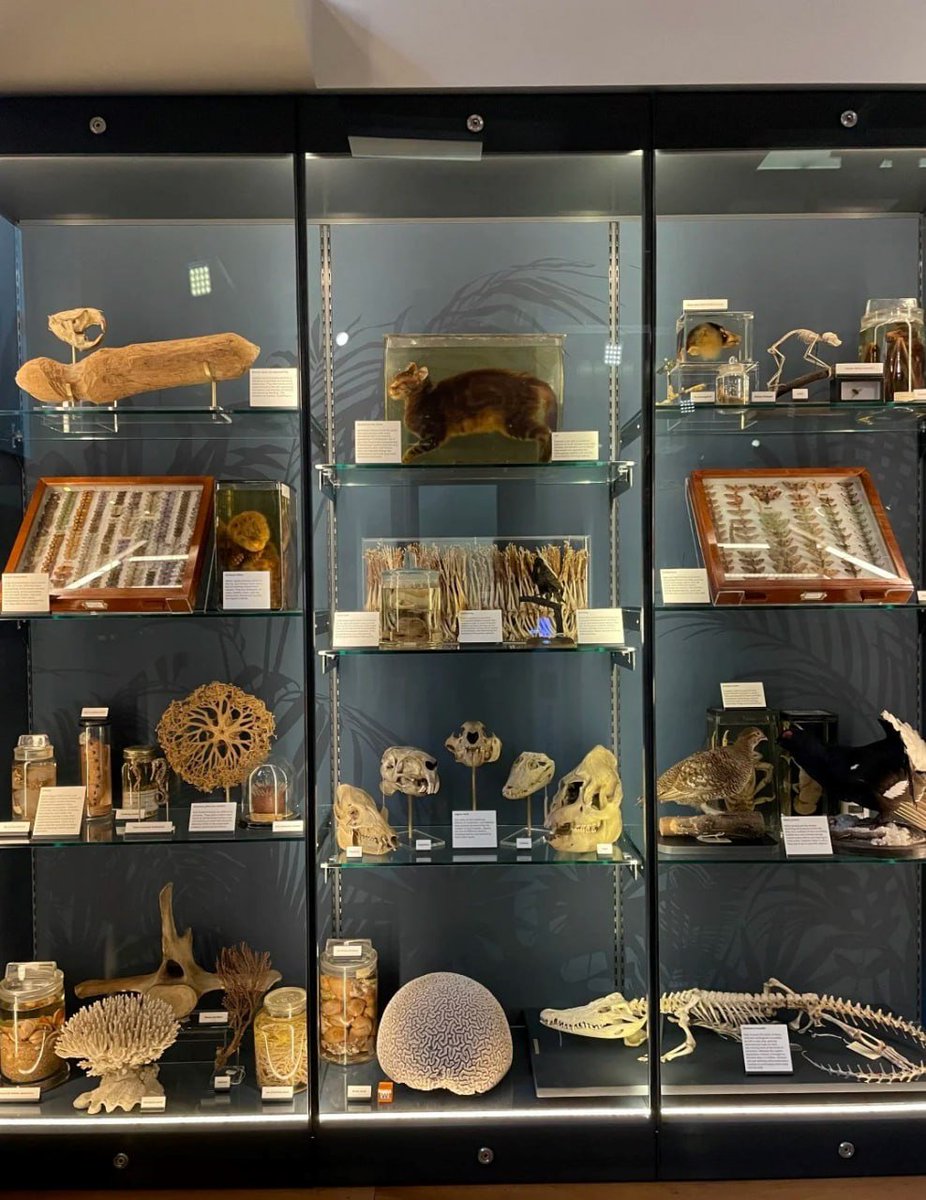 Emilia✨ tweet media