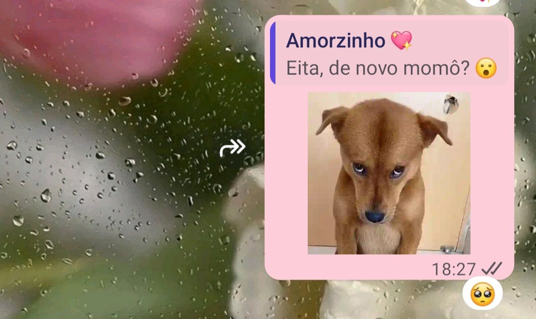 btspavedv's tweet photo. Viciada em me safar usando as figurinhas desse cachorrinho lindo https://t.co/02Wa5Jj2Xe