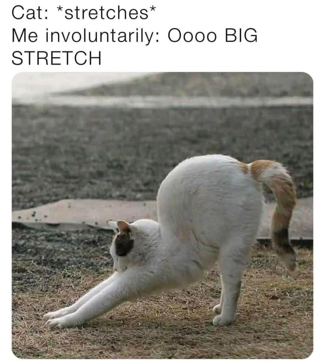 Jolemai (@lordjolemai) on Twitter photo 