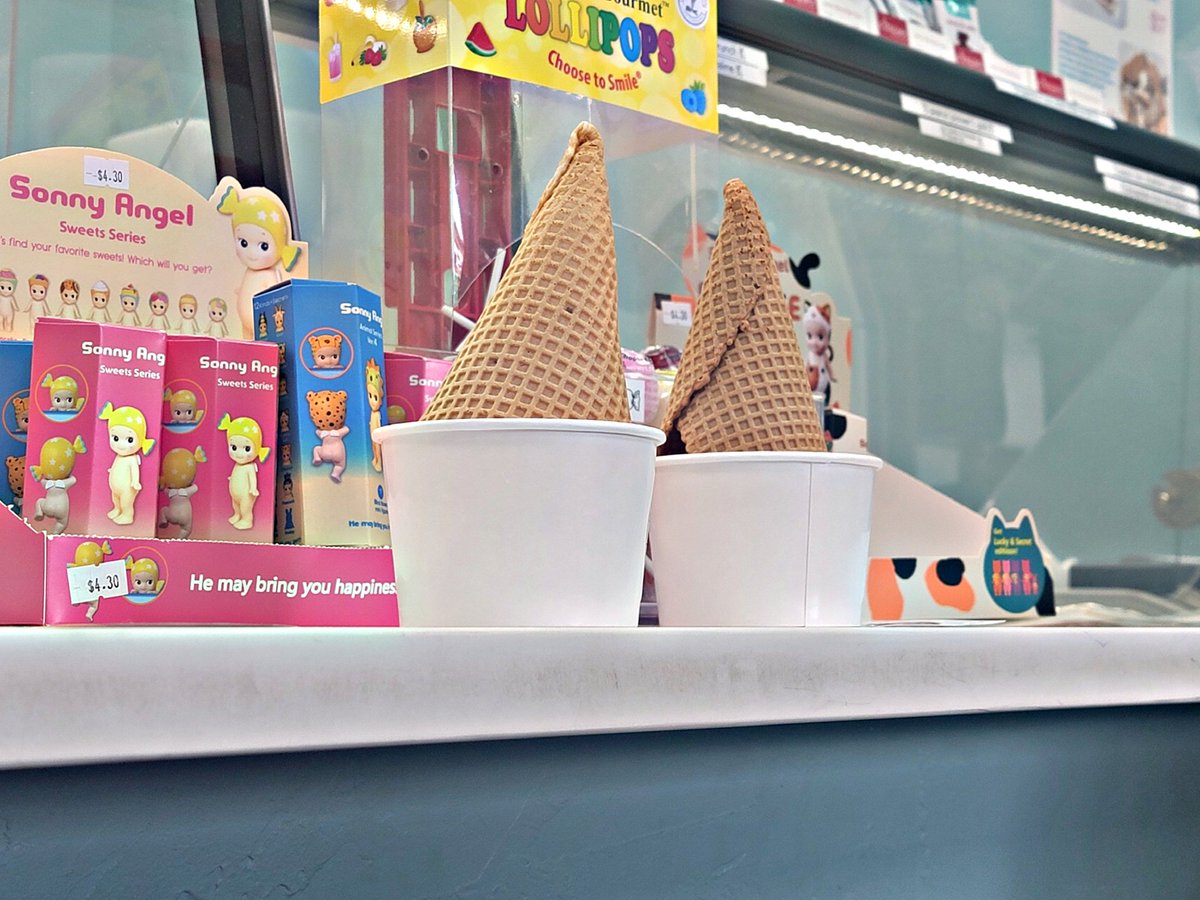 LildarrelN's tweet image. DeSoto County Community Conversation 🍨💬

#ArcadiaFL #CommunityConversation #ThePattersonFoundation #HarwoodInstitute #SweetMagnolias #DeSotoCounty #BetterTogether #ArcadiaStrong